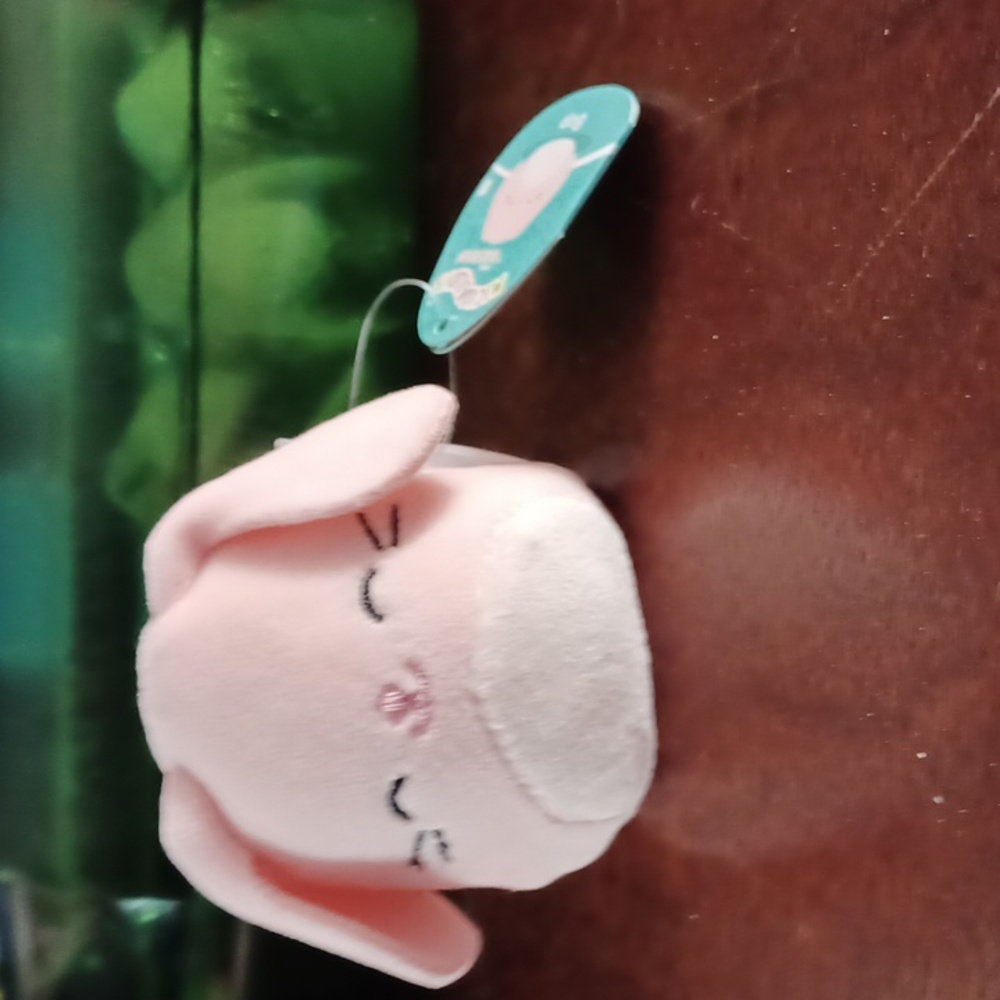 Squishmallows Micromallows 2024 Series 1  - Bop the Bunny!